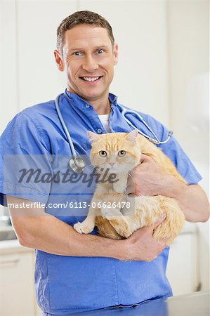 Veterinarian holding cat in vet's surgery