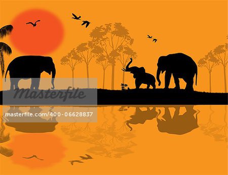 African wildlife at sunset, with elephants near water, vector illustration