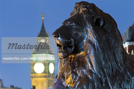 Lion sculpture at Nelson's Column Memorial, Trafalgar Square with Big Ben in the background. London, UK