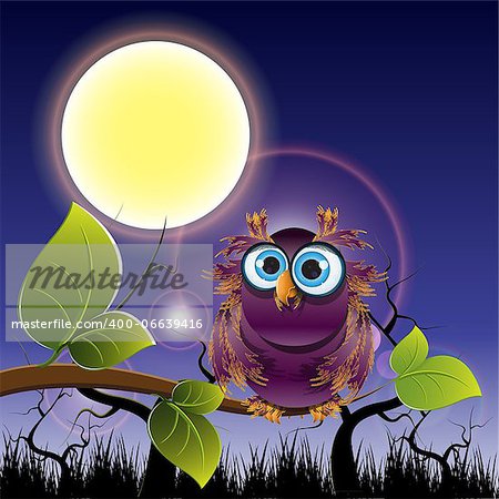 illustration wise owl on the branch at night