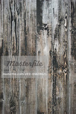 Wood Background Rustic Texture