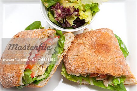 italian ciabatta panini sandwich with chicken and tomato