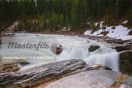 Photo was taken in Jasper National Park, Alberta, Canada.