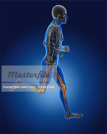 3D running medical man with skeleton knees highlighted