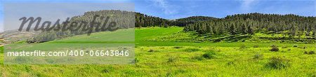 Panorama: hills, forest and green fields.