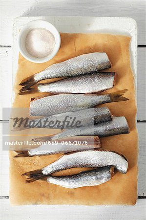 Fresh herrings on parchment paper and dish of salt