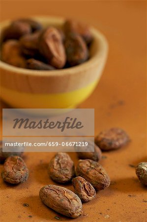 Raw cocoa beans