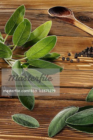 Sage leaves on a rustic wooden panel