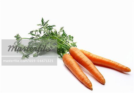 Three carrots with leaves