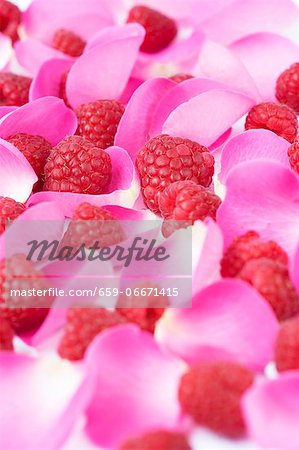 Fresh raspberries and pink rose petals