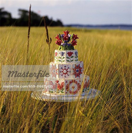 Three Tiered Wedding Cake Decorated with Red and Blue Flowers and Red Love Birds; In a Field