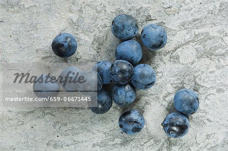 Sloes