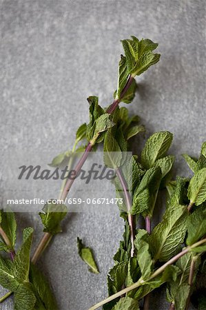 Several sprigs of fresh mint