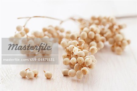 White peppercorns on the vine