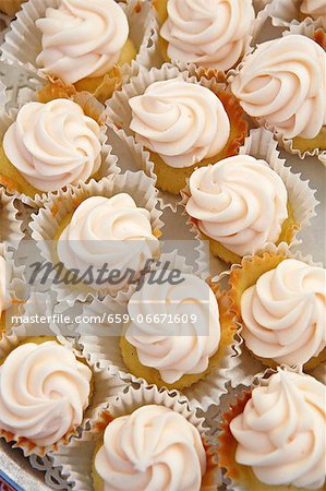 Mini Vanilla Frosted Cupcakes in Paper Liners