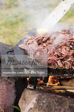 Reindeer meat being grilled on a bonfire (Scandinavia)