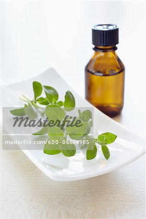 Sprig of oregano, herbs and bottle of aromatic oil for aromatherapy