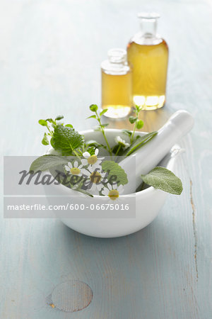 Still life of mortar and pestle with fresh herbs, chamomile, bottles of essential oil for aromatherapy