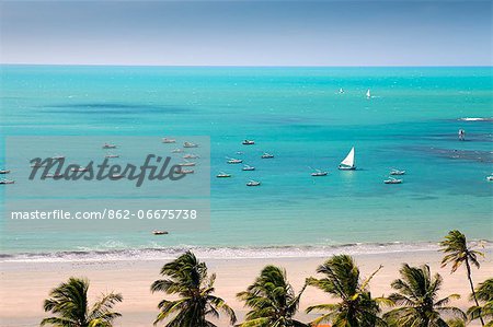 South America, Brazil, Ceara, Ponta Grossa, view of jangadas moored on an aquamarine coral sea in front of a palm tree fringed white sand beach