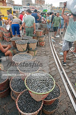 South America, Brazil, Para, Amazon, baskets of acai berries at the morning acai market in Belem, which takes place outside the Ver o Peso market, on the waterfront of Guajara Bay