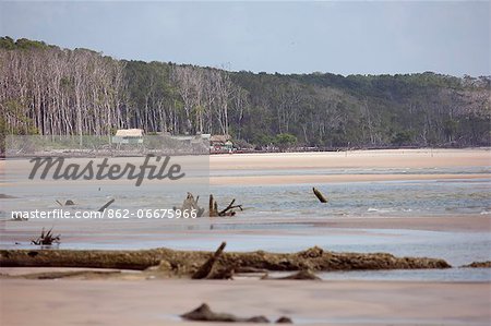South America, Brazil, Para, Amazon, Marajo island, a caboclo village set on the beach with Amazon rainforest behind, near Soure