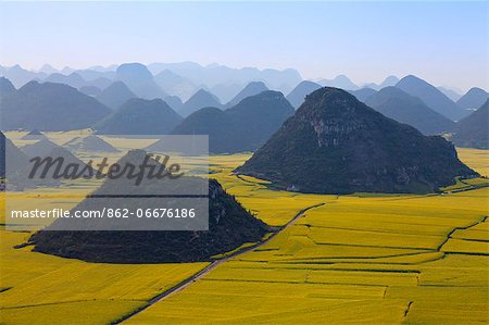 China, Yunnan, Luoping. Mustard fields in bloom amongst the karst outcrops at Luoping.