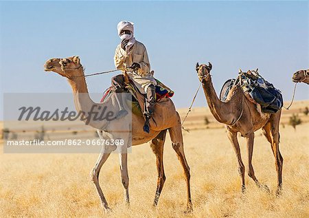 Chad, Batha, Wadi Achim, Sahel. An Arab Ouled Sliman man rides his camel to collect water at Wadi Achim s deep well.