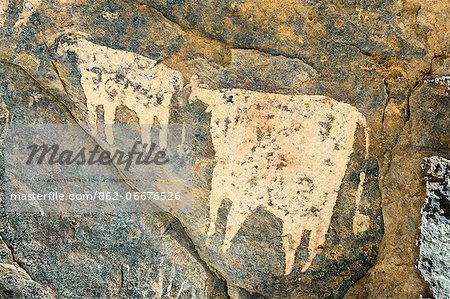 Chad, Wadi Archei, Ennedi, Sahara.  An ancient painting of two white bulls on the wall of a cave.