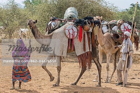 Chad, Mongo, Guera, Sahel.  A man and woman of the Chadian Arab Nomad tribe with a magnificently caparisoned camel.