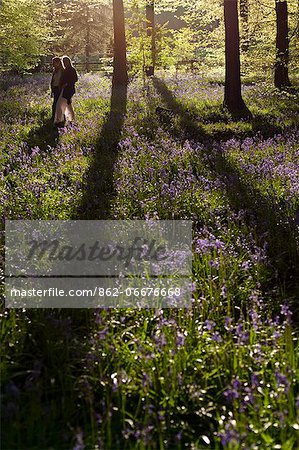 UK, Wiltshire. Two women walk through the bluebell woods in Wiltshire.