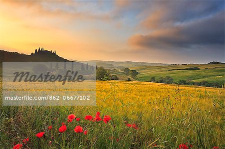 Italy, Tuscany, Siena district, Orcia Valley, Podere Belvedere near San Quirico dOrcia