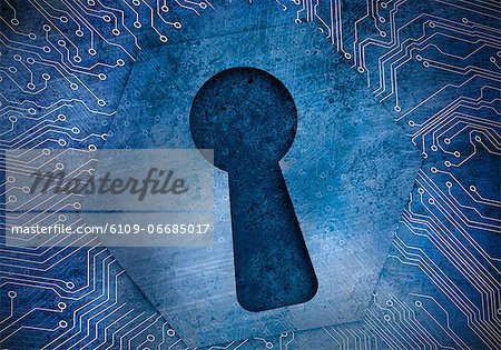 Keyhole on circuit board protecting data