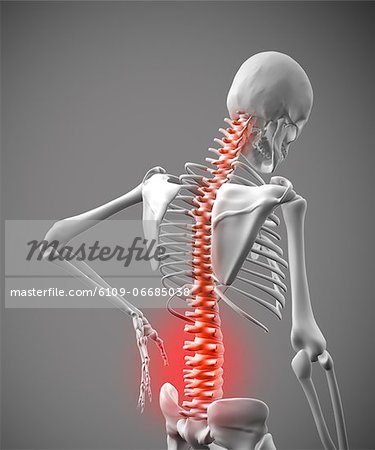 Digital skeleton rubbing lower back pain Digital skeleton rubbing lower back pain