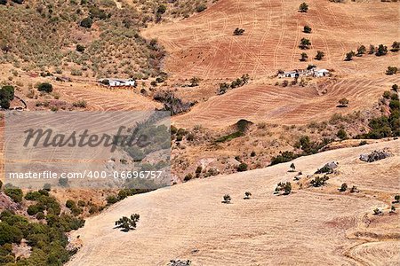 typical plowed fields in Andalucia, Spain