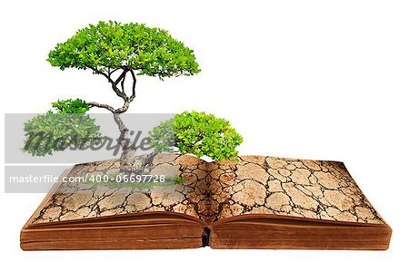 The big tree growth from a book with cracked ground texture, Global warming concept