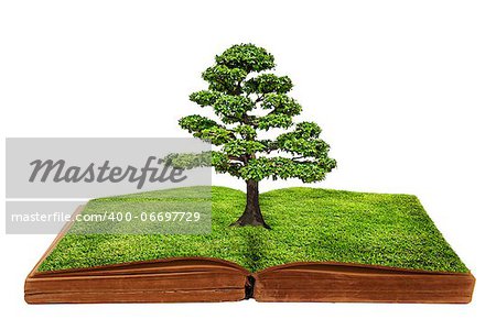 The big tree growth from a book isolated on white background, Creative concept image global warming concept.