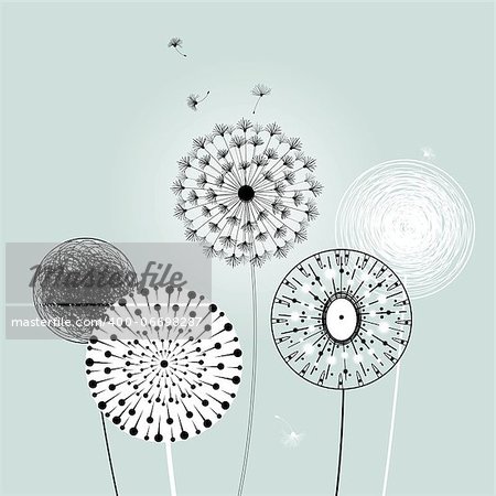 different graphic dandelions on a blue gray background