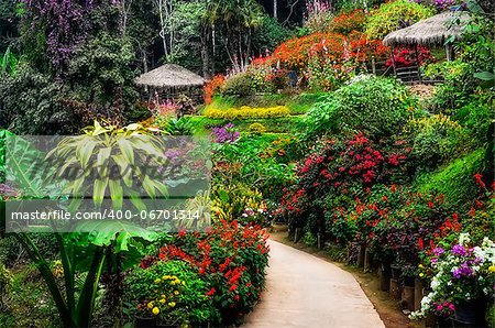 Landscaped colorful flower garden in blossom