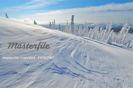 Peak of Mount Lusen with Blowing Snow in Winter, Grafenau, Bavarian National Park Bavarian Forest, Bavaria, Germany