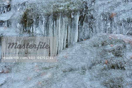 Close-up of Icicles in Winter, Steinklamm, Spiegelau, Bavarian Forest National Park, Bavaria, Germany