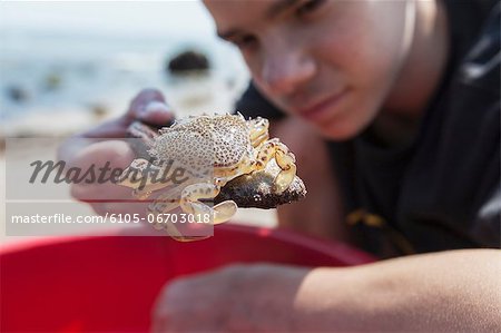 Teenage boy looking at a crab on the beach, Block Island, Rhode Island, USA