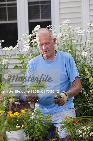 Senior man preparing to plant flowers in his garden