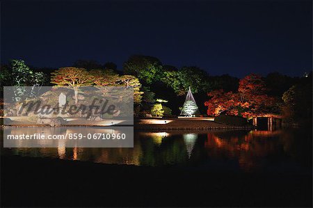 Night illumination at Rikugien garden, Tokyo