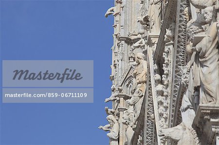 Cathedral detail, Siena, Italy