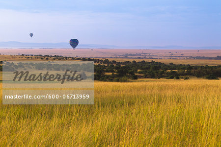 Hot Air Balloons Flying over Masai Mara National Reserve, Kenya