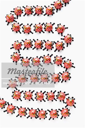 still life of ladybugs chocolate on white background