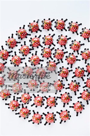 still life of ladybugs chocolate on white background