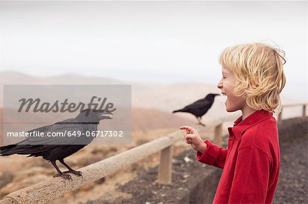 Boy feeding crow on fence