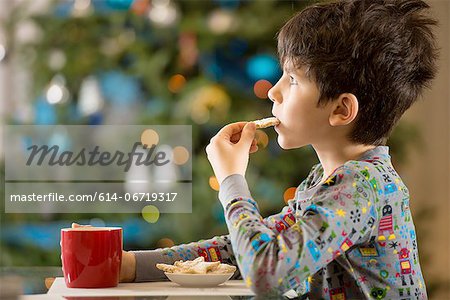 Boy eating Christmas cookies