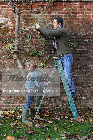 Father and son working in garden